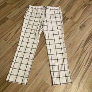 Express Columnist Pants